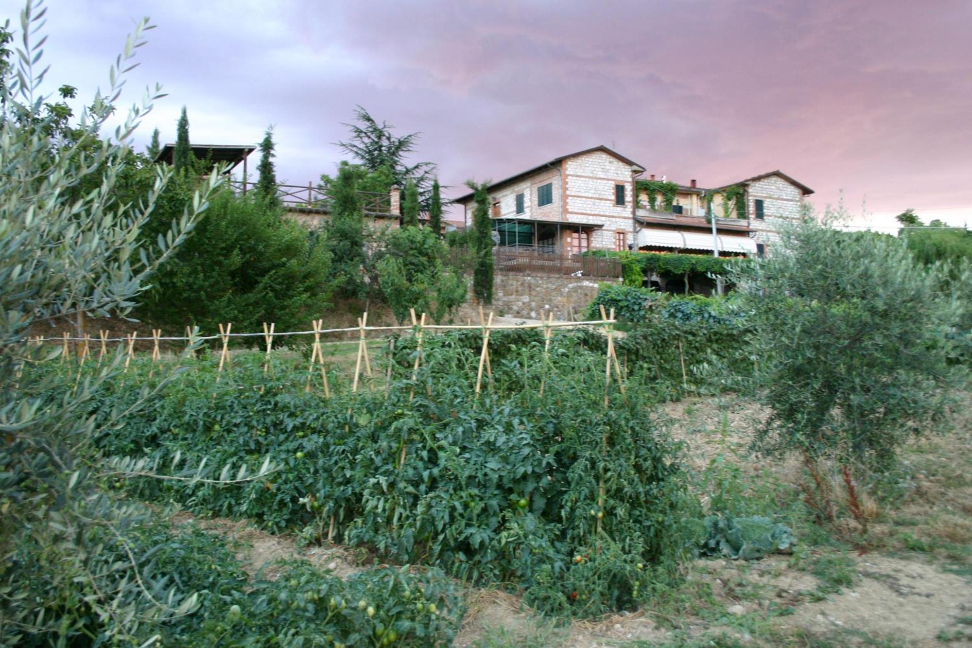 Agriturismo La Pietriccia เคียนเชียโนแตร์เม ภายนอก รูปภาพ