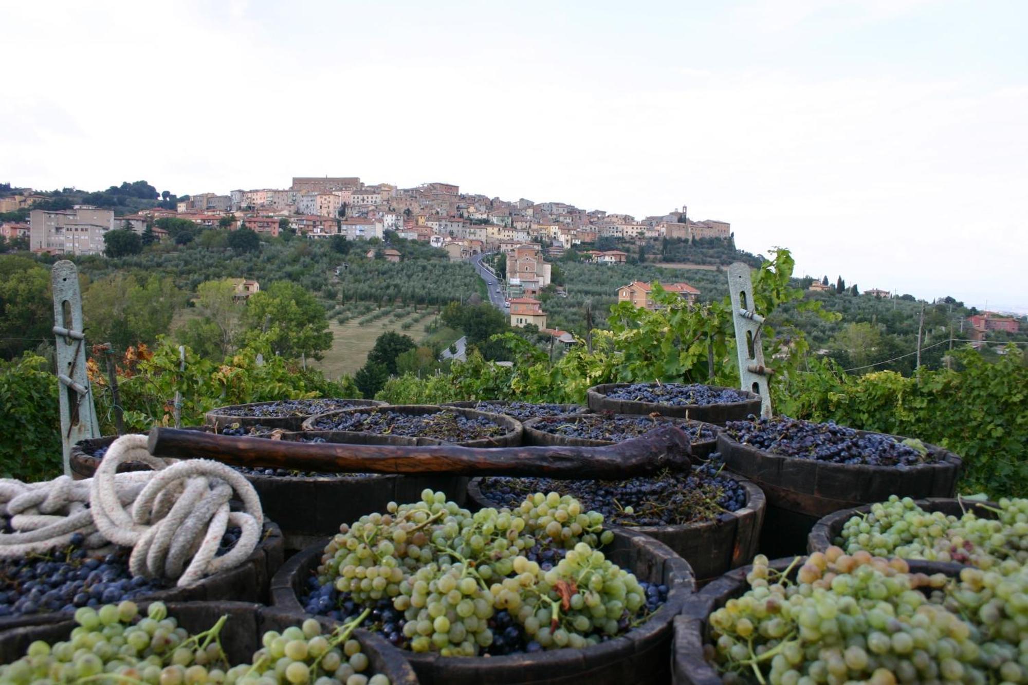 Agriturismo La Pietriccia เคียนเชียโนแตร์เม ภายนอก รูปภาพ