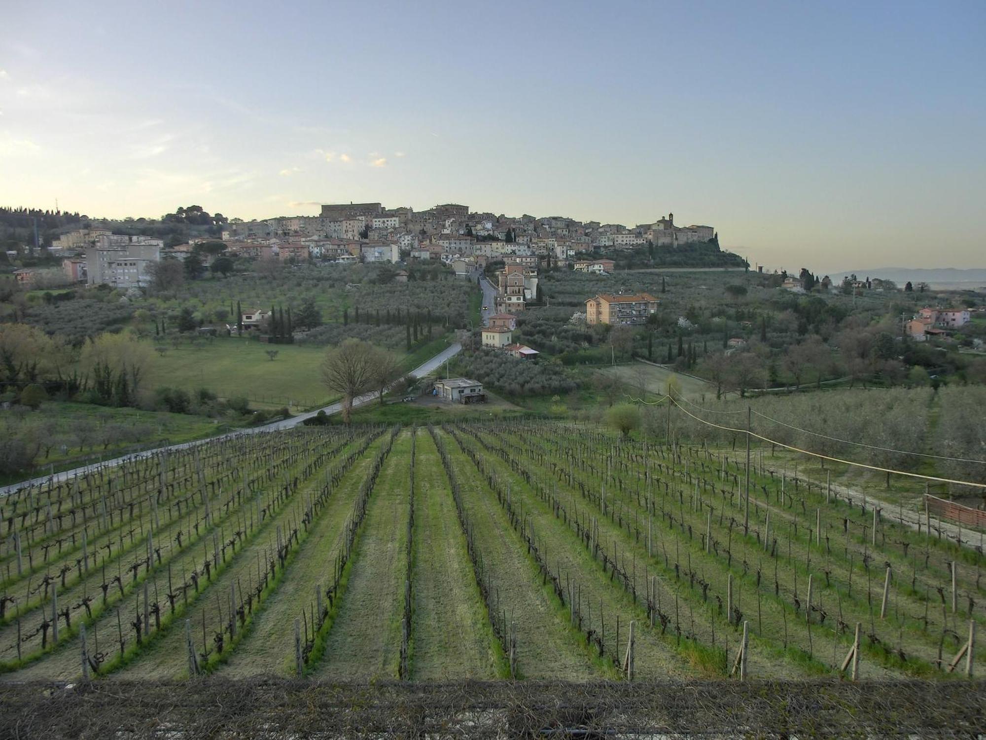 Agriturismo La Pietriccia เคียนเชียโนแตร์เม ภายนอก รูปภาพ